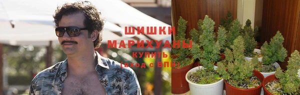 кокс Аркадак