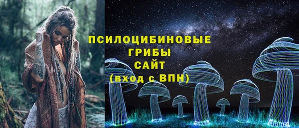 винт Армянск