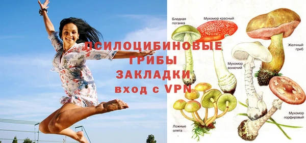 винт Армянск