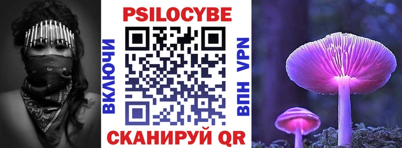OMG онион  Аркадак  Галлюциногенные грибы Cubensis 